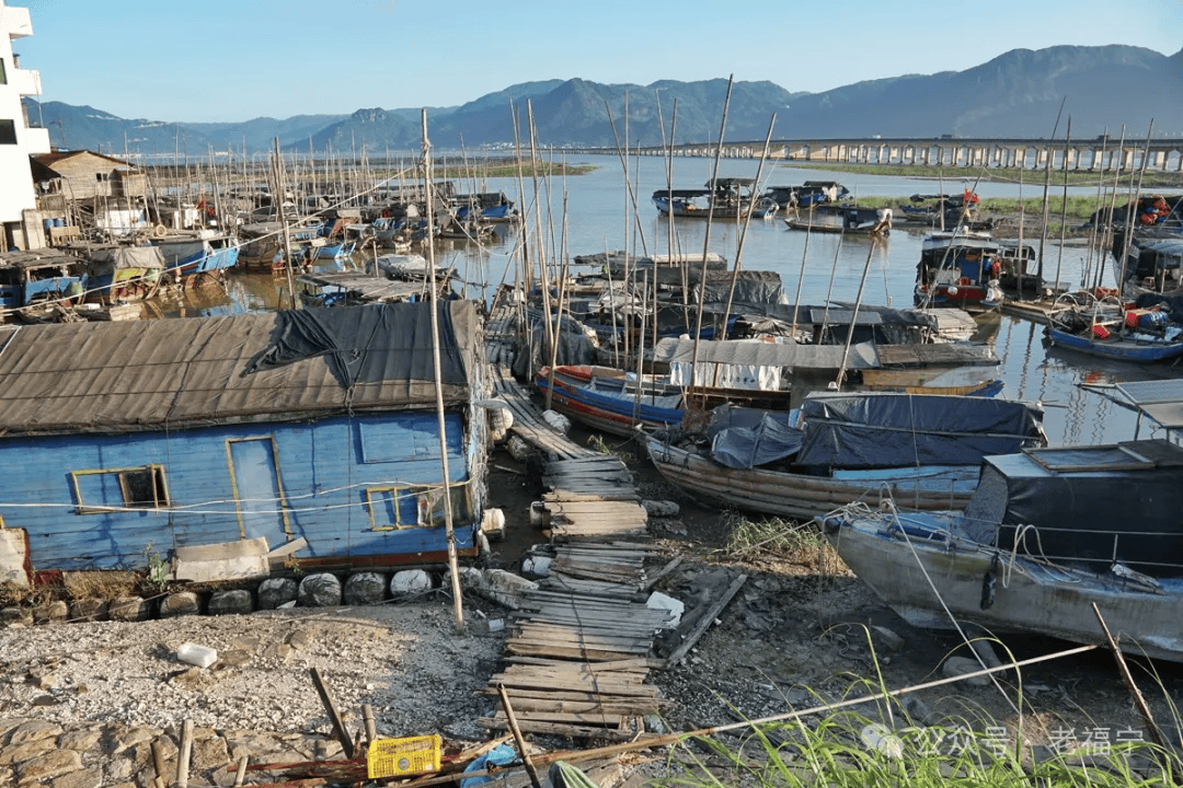 宁德漳湾码头图片