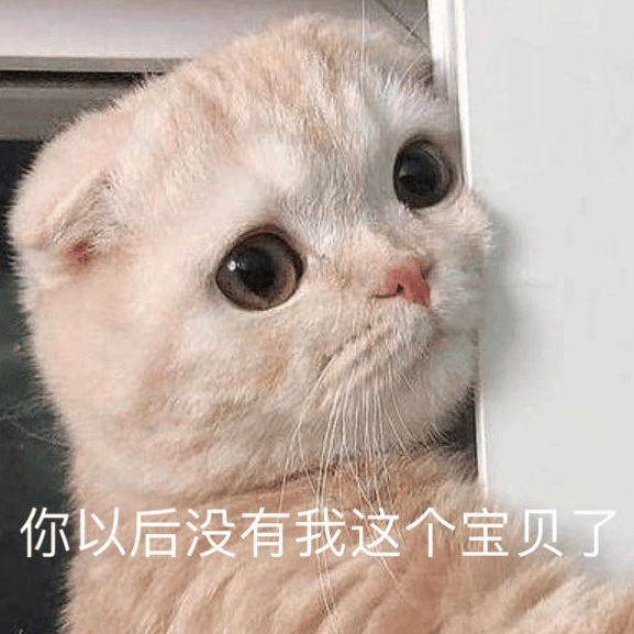 超犯贱的害羞涩涩表情包