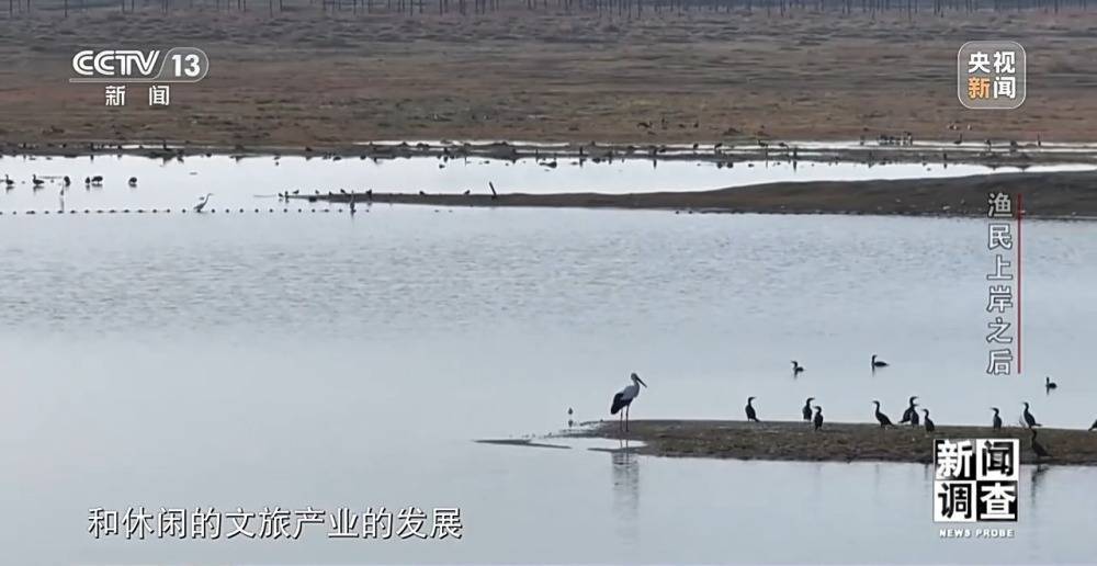 电视家：澳门最精准正最精准龙门-新闻：寻乌县文广新旅局开展全县新闻出版行业学法培训