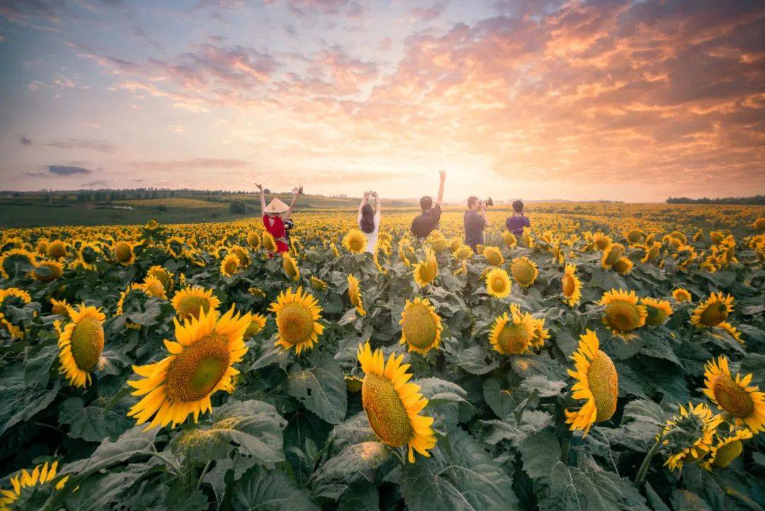 心若清净,风奈我何(太美了)