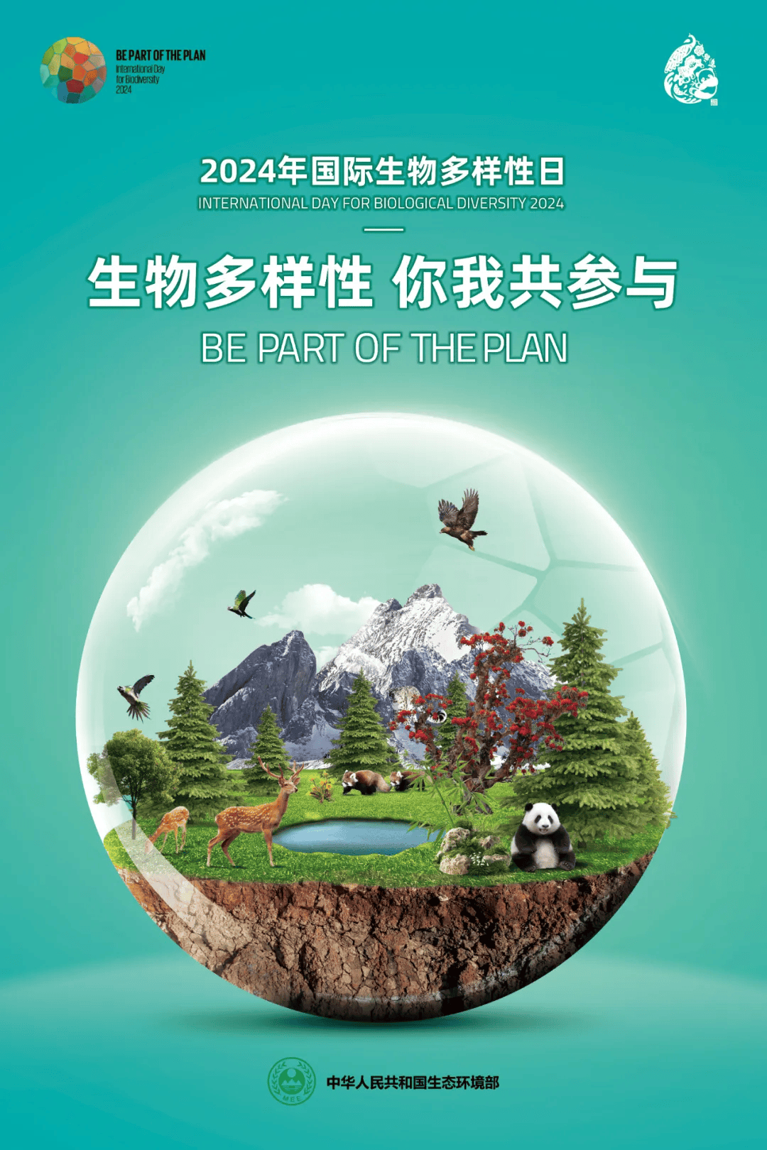 生态环境部发布2024年国际生物多样性日宣传海报_信息_标题_识别