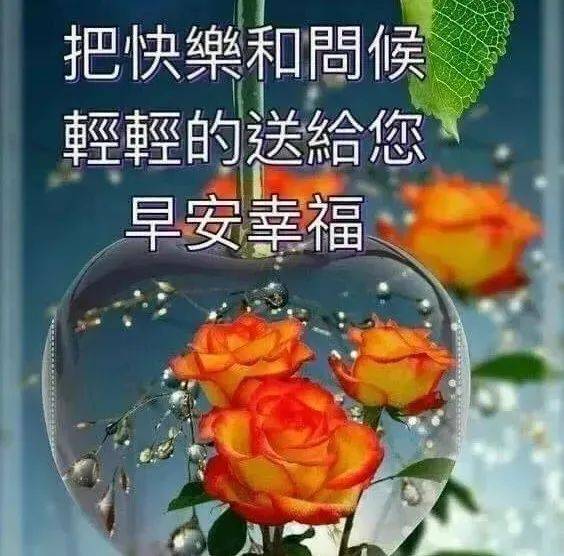 2024最美朋友圈早安问候图片表情包，心想事成，好运相伴！
