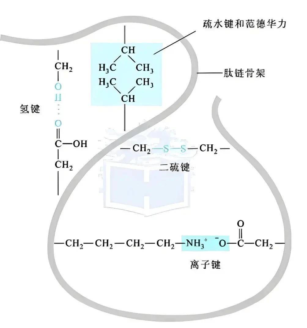 范德华键图片