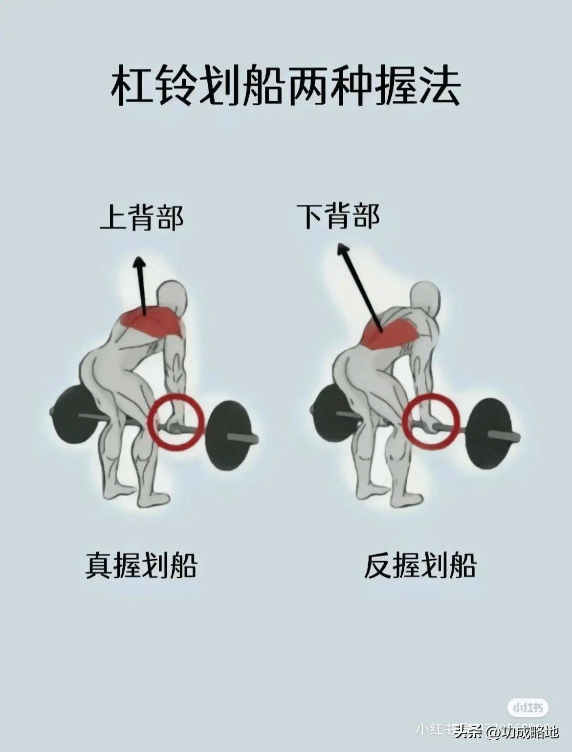 "科学拉伸:让背部更宽广的健康运动选择"