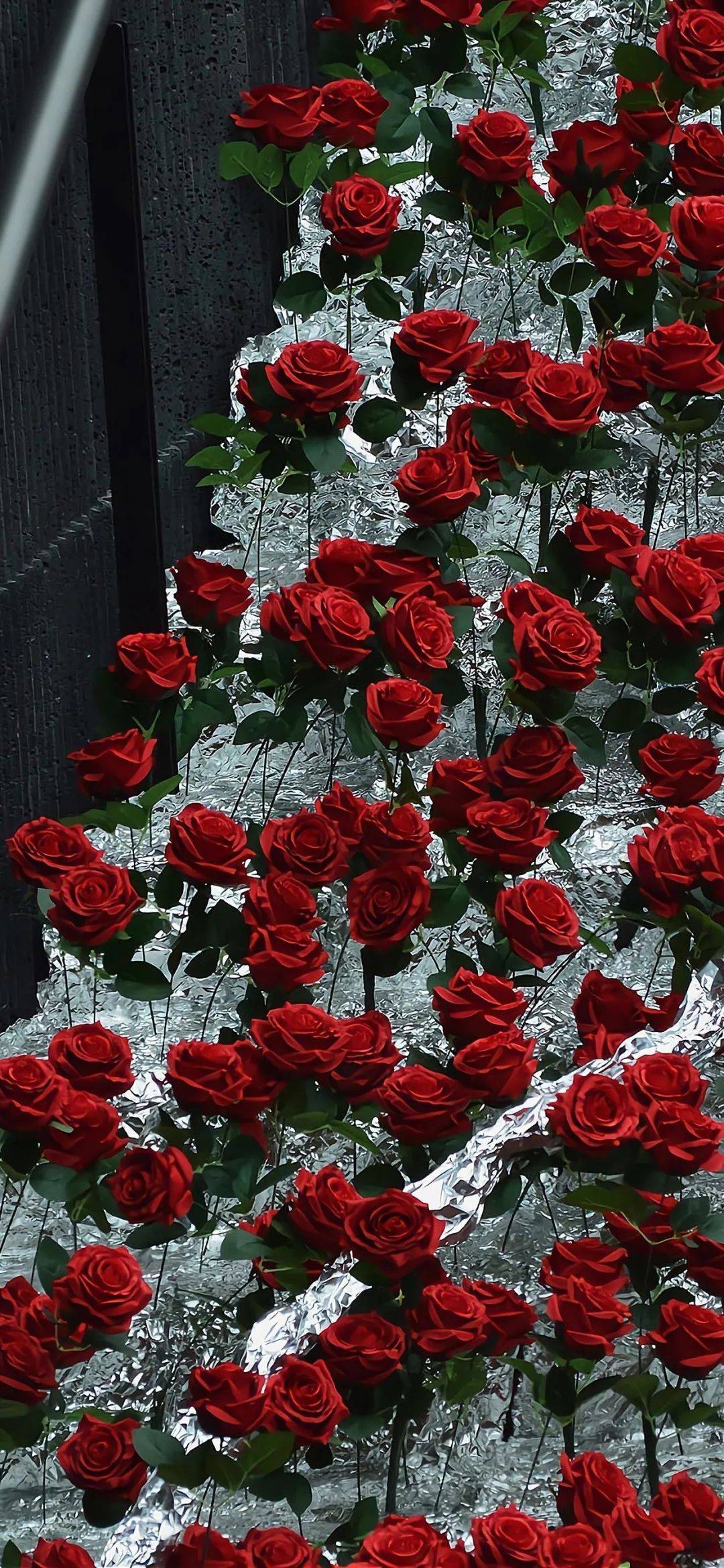 壁纸 丨风烟俱净 天山共色