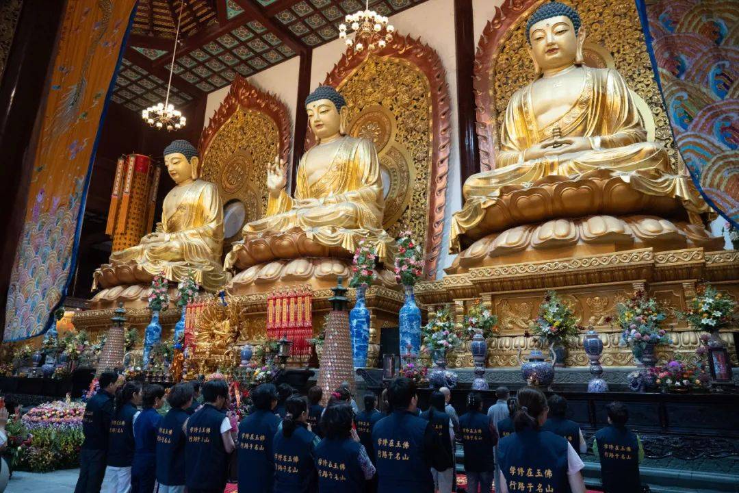学修在玉佛,行路于名山丨玉佛禅寺2024年首场朝山活动圆满!