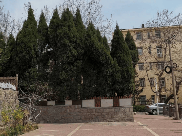 为民办事 | 12345热线典型案例!市民诉求办理(第七期)