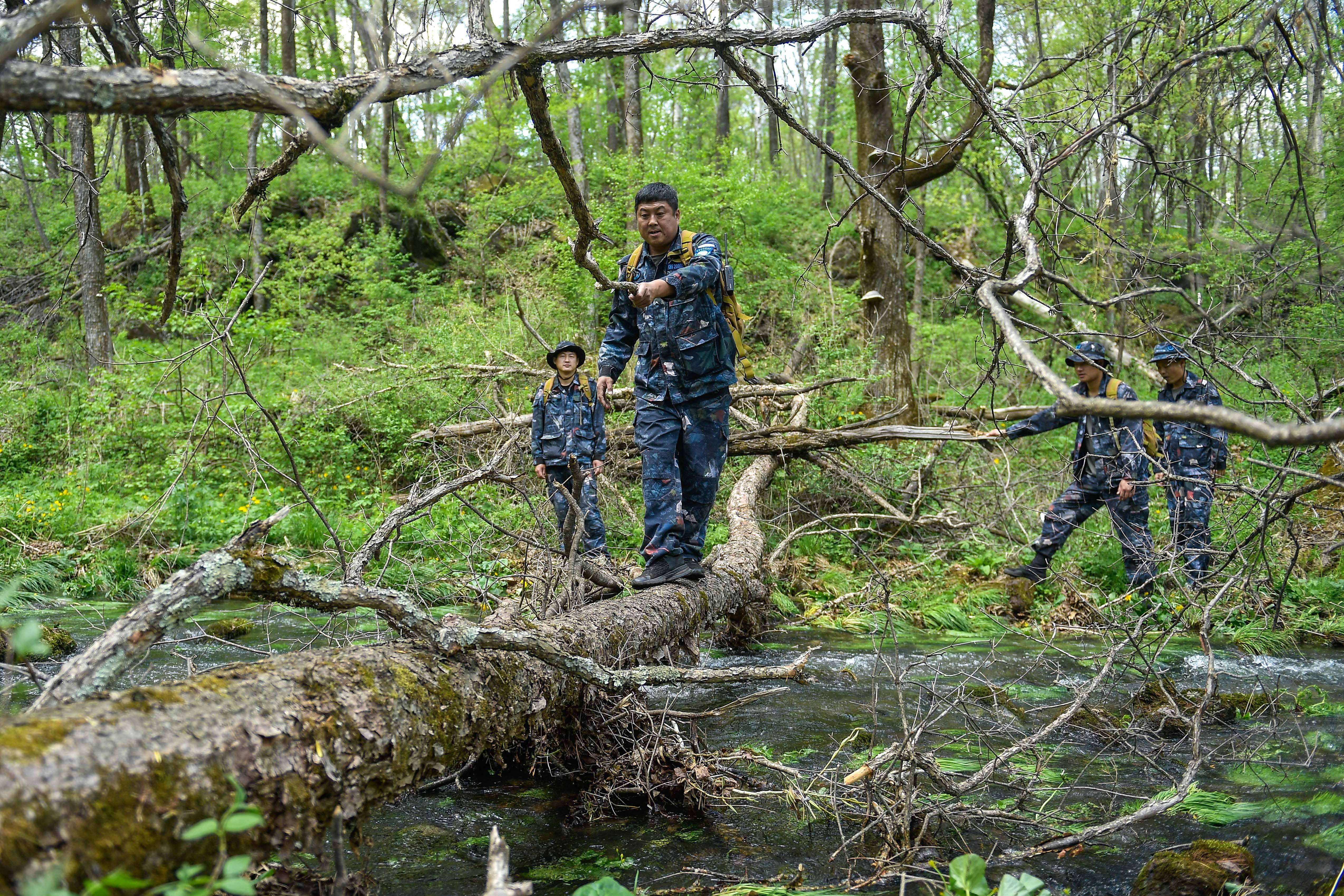 新华全媒 ·图片故事丨长白山"守山人":只此青绿"长相守"