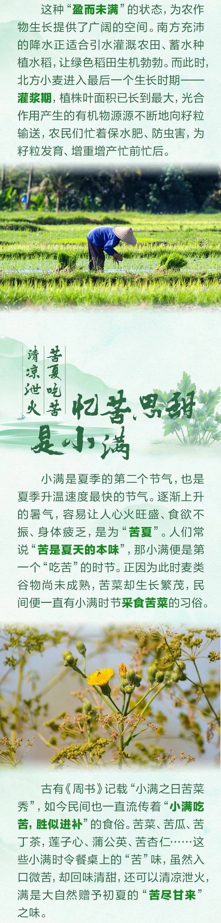 诗说小满 | 夏风拂穗小盈满,"智能金"锁住每一刻浪漫