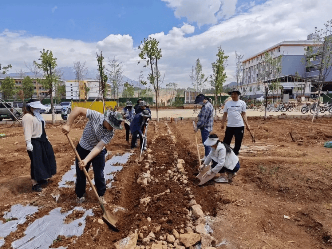 在劳动指导教师的指导下,师生们纷纷起拿起锄头,钉耙,铁锹,撮箕等劳动