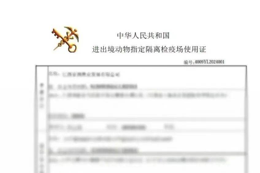 "智关强国"在行动 | 小鳗鱼"游"出大产业