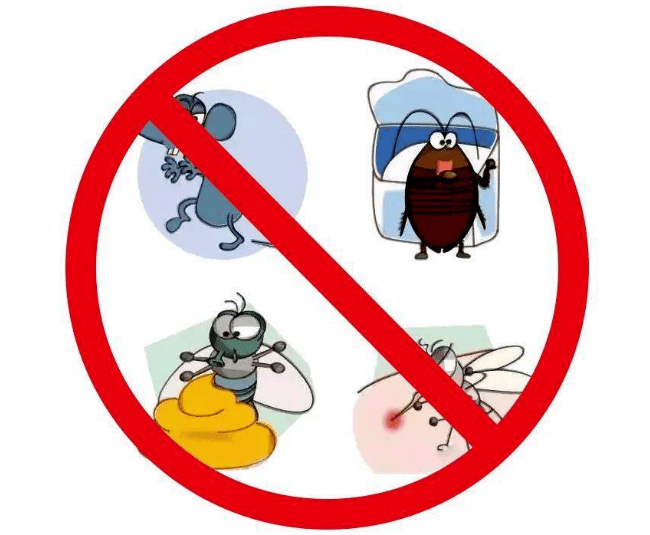 吾祠乡开展除"四害"消杀行动