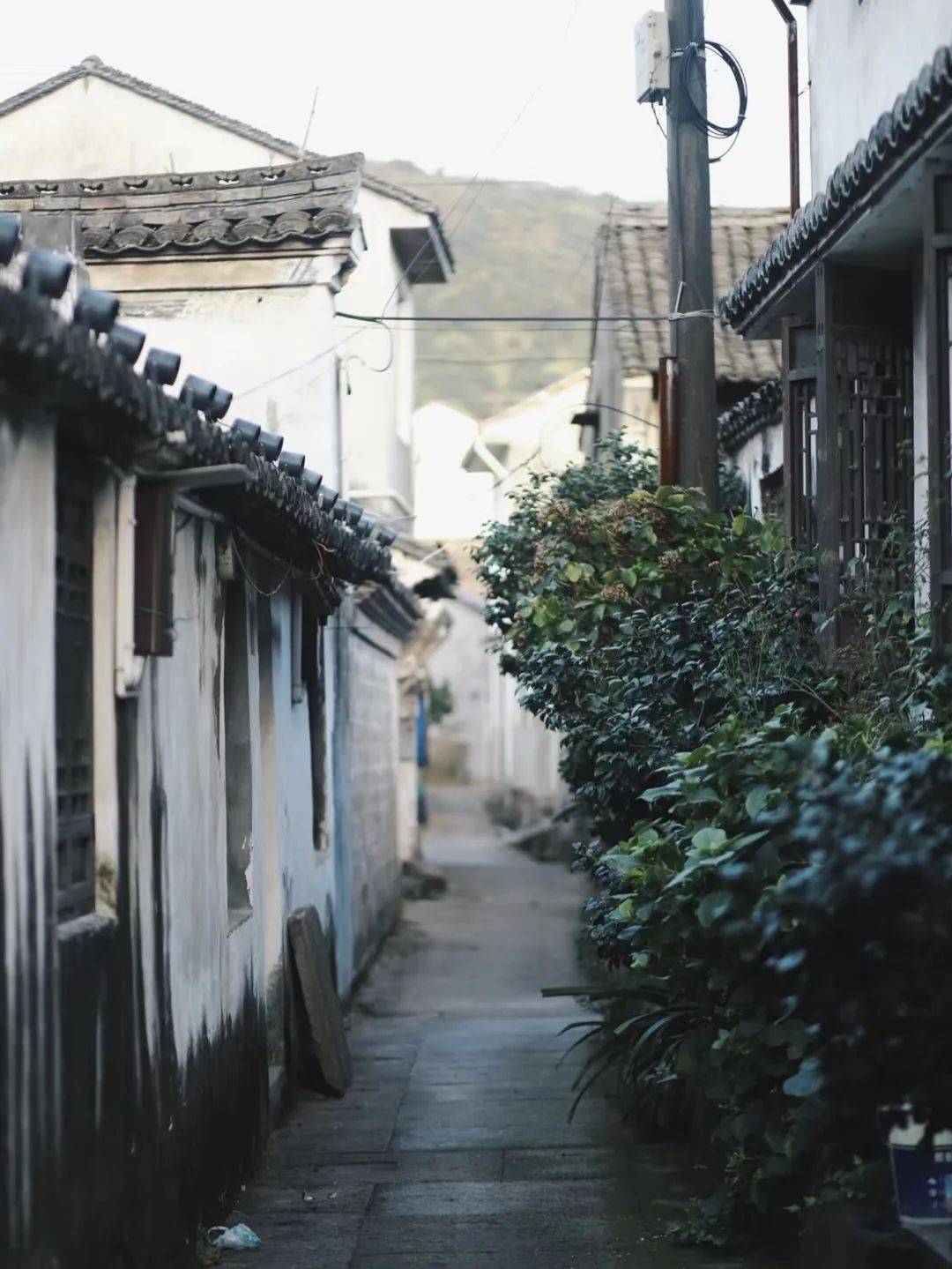 夏天均温23℃,一半向海,一半是山,这座杨梅味儿的