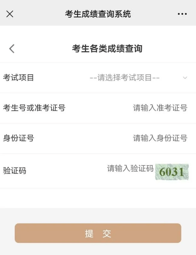 宁夏高考生,这两项考试成绩已经公布!查询入口