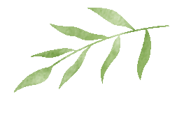 夏日进度加载中 | 一场华珠er与夏天的邂逅