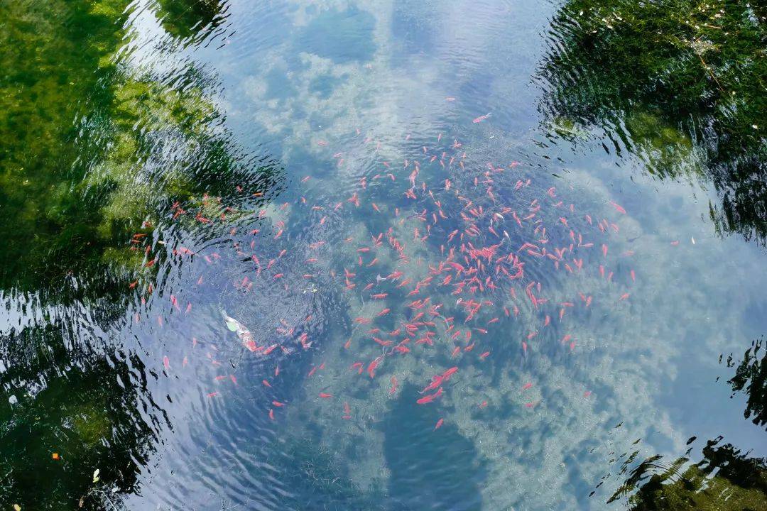 端午2日|又见61蓟州山水|早知有盘山何必下江南