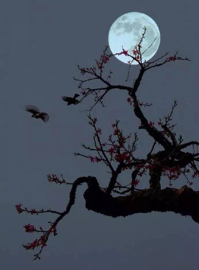 我们终将会经历这纷繁复杂的人世,我们终究会明白写书人的一点痴心.