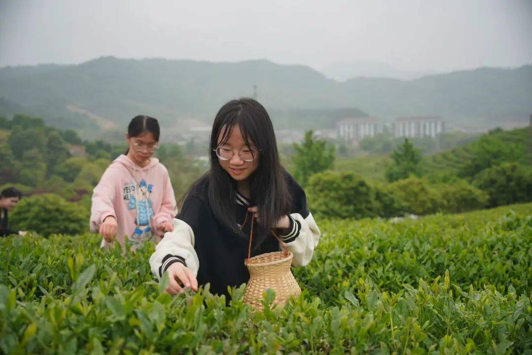 浙江商业技师学院丨茶文化与营销专业开展以茶知礼,以劳育人专业