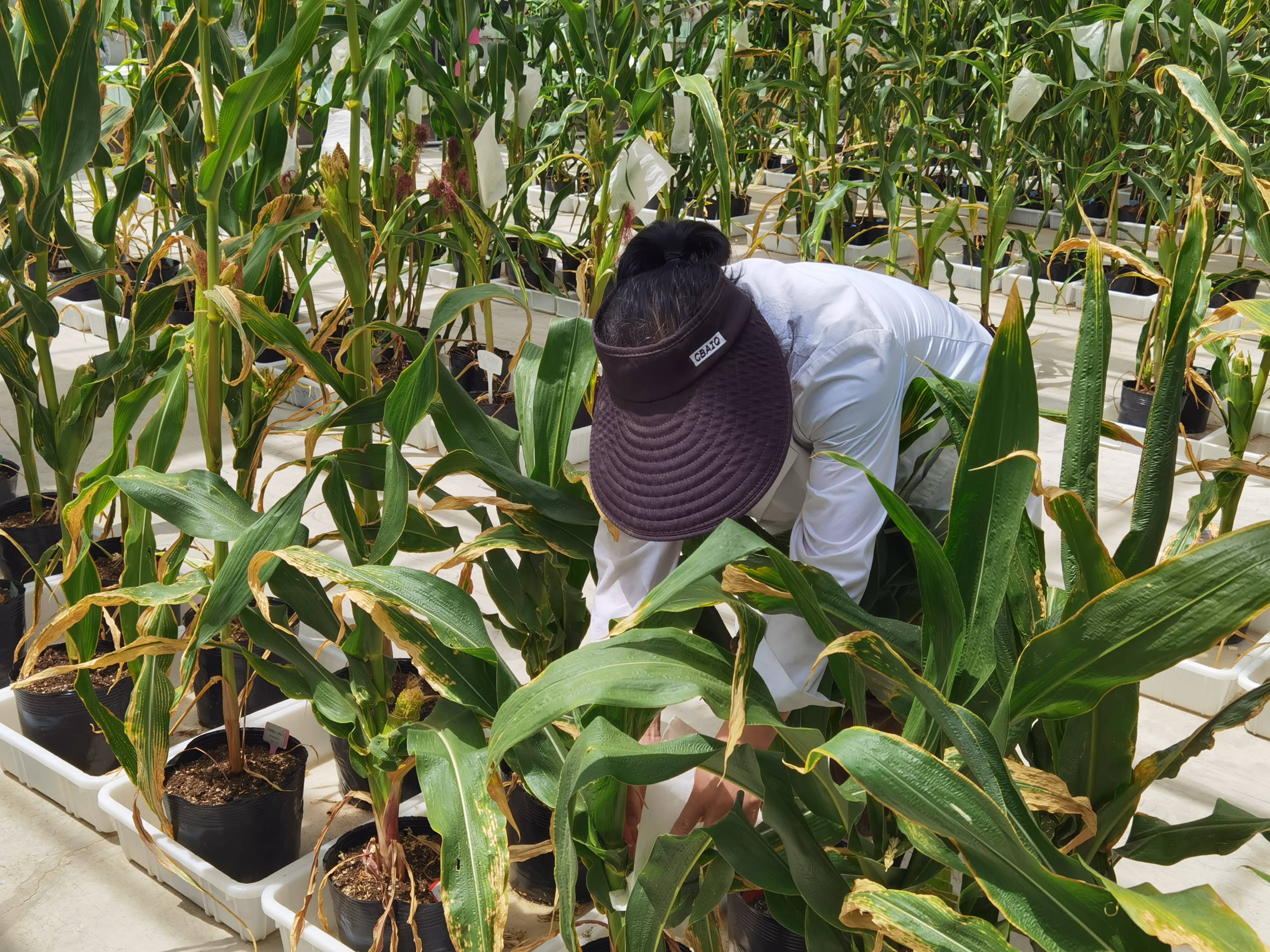 向"新"而行丨朝"新"登峰"质"胜未来 济南高新区