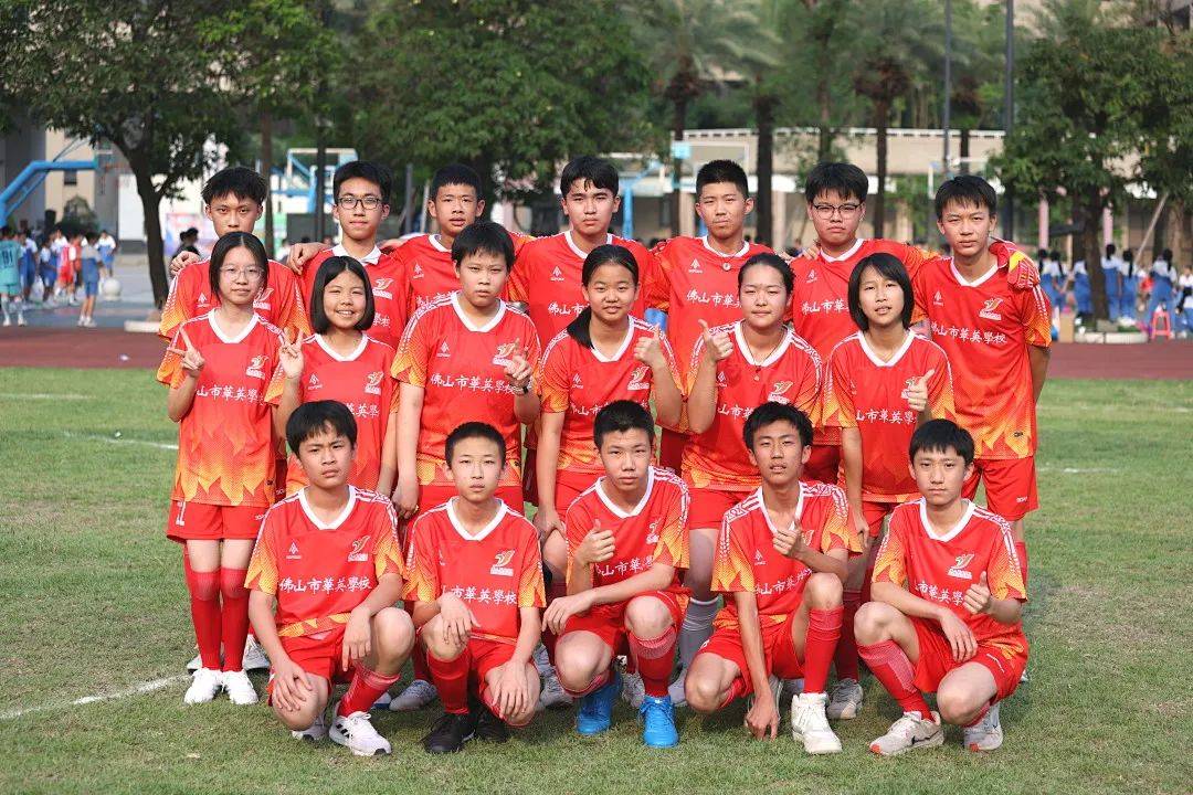 杨星辰