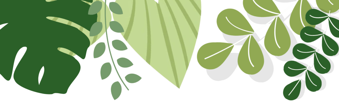 共青团前郭县委组织开展2024年全省节能宣传周和全省低碳日主题活动