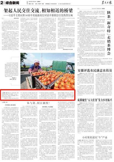 农民日报:"良种 良田",奏响麦收序曲