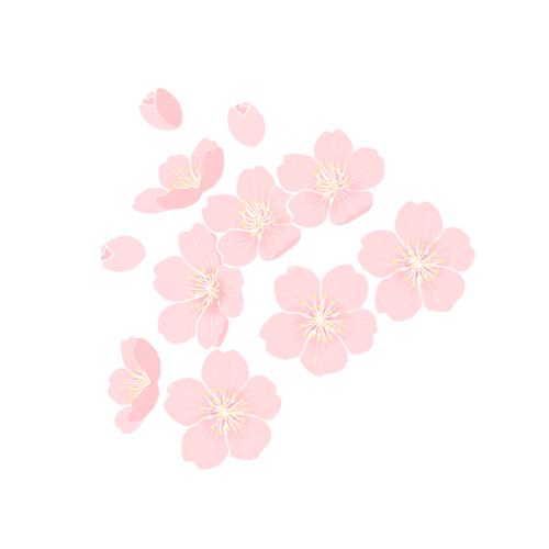 520来闵行邂逅浪漫花店,让爱绽放于每一朵花间 | 好白相