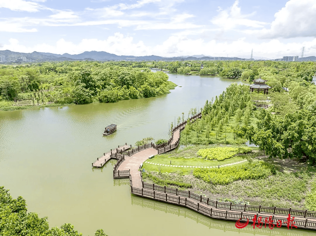 在榕江北河揭阳一中段前的滨江湿地,记者看到,新种下的苗木在阳光的