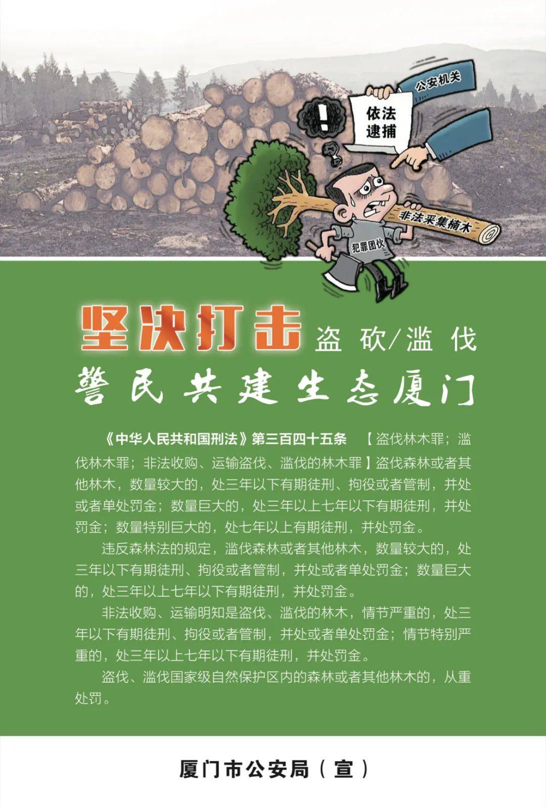 保护森林资源,共享青青绿意