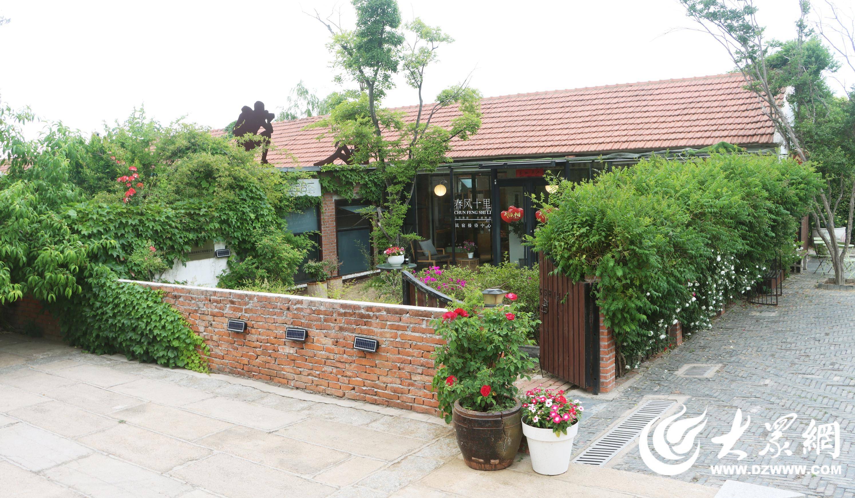 初夏时节 日照高新区河山镇春风十里蔷薇花盛开