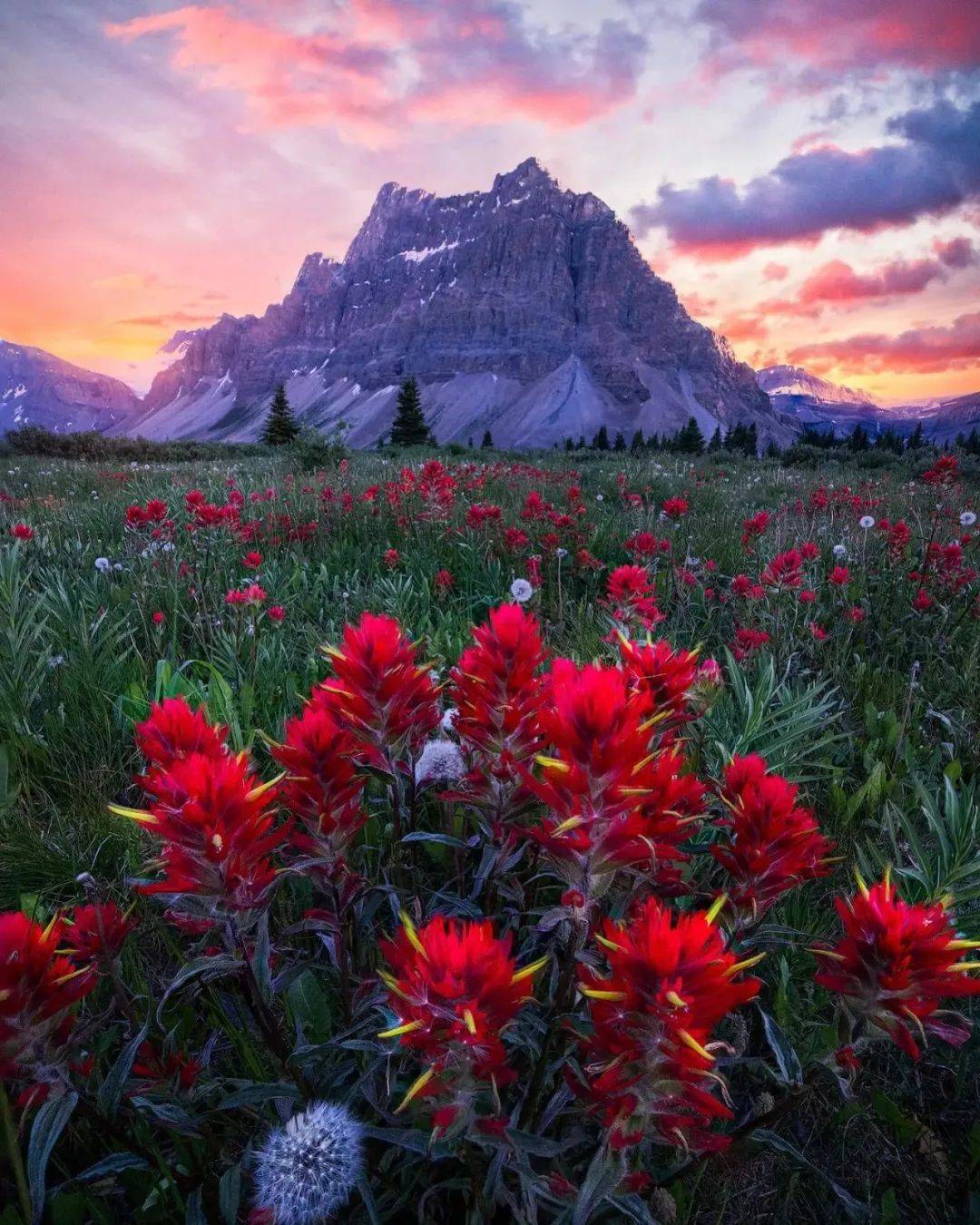 用镜头捕捉星辰大海的梦幻摄影师