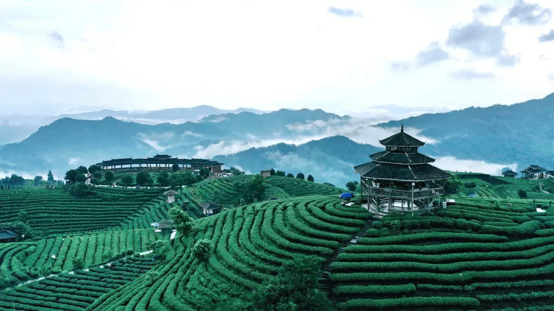 雨后的仙人山,云雾随着风被吹向山谷,汇聚在一起久