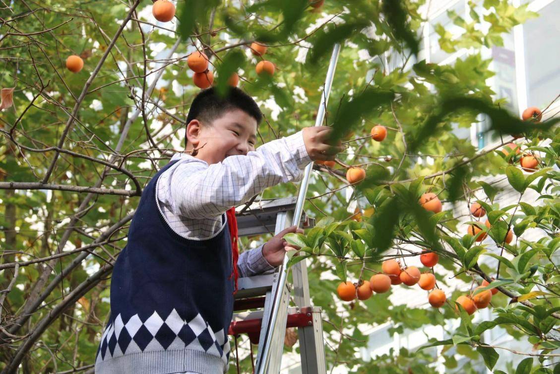 🌸【2024澳门特马今晚开奖】🌸-“爱心义诊，我们在行动”健康义诊活动  第3张