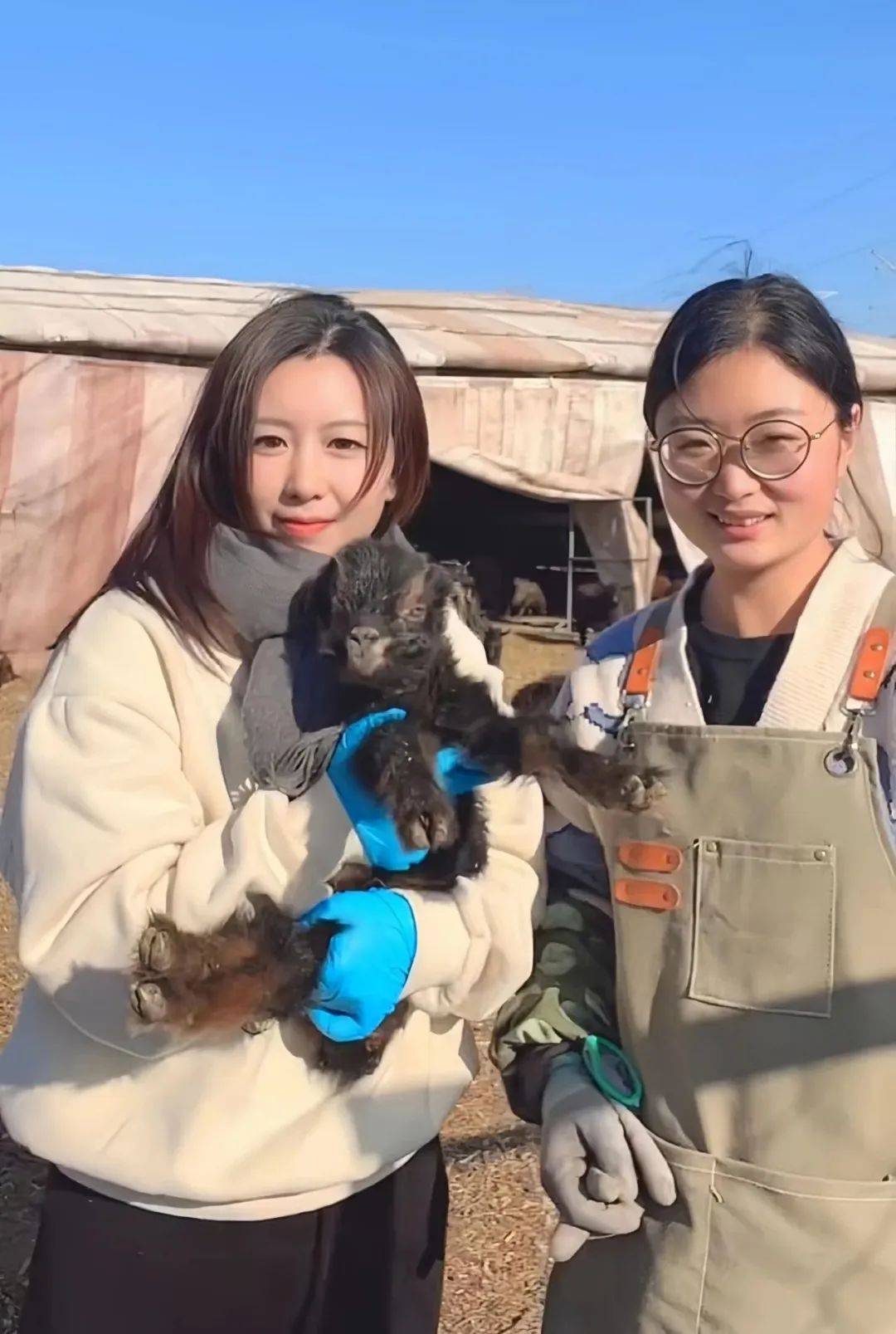 【人物风采】95后的她,用青春挑起乡亲共富"金扁担"