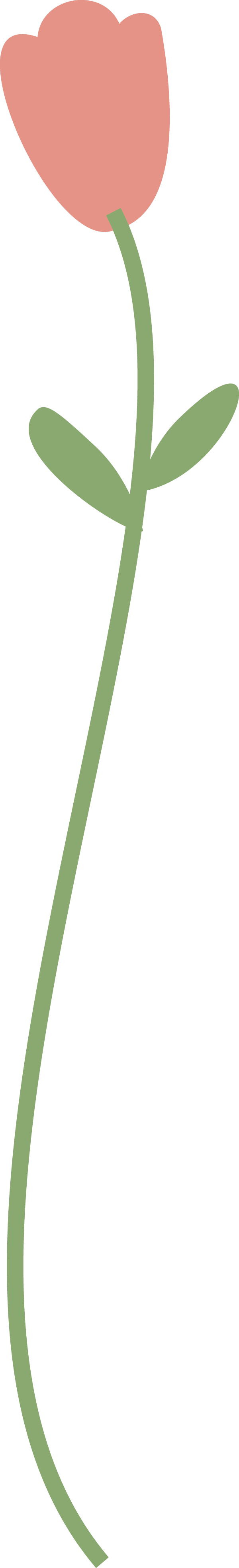 summer壮美的富山大裂谷见证了无数自然的神奇与壮丽漫步在裂谷的边缘