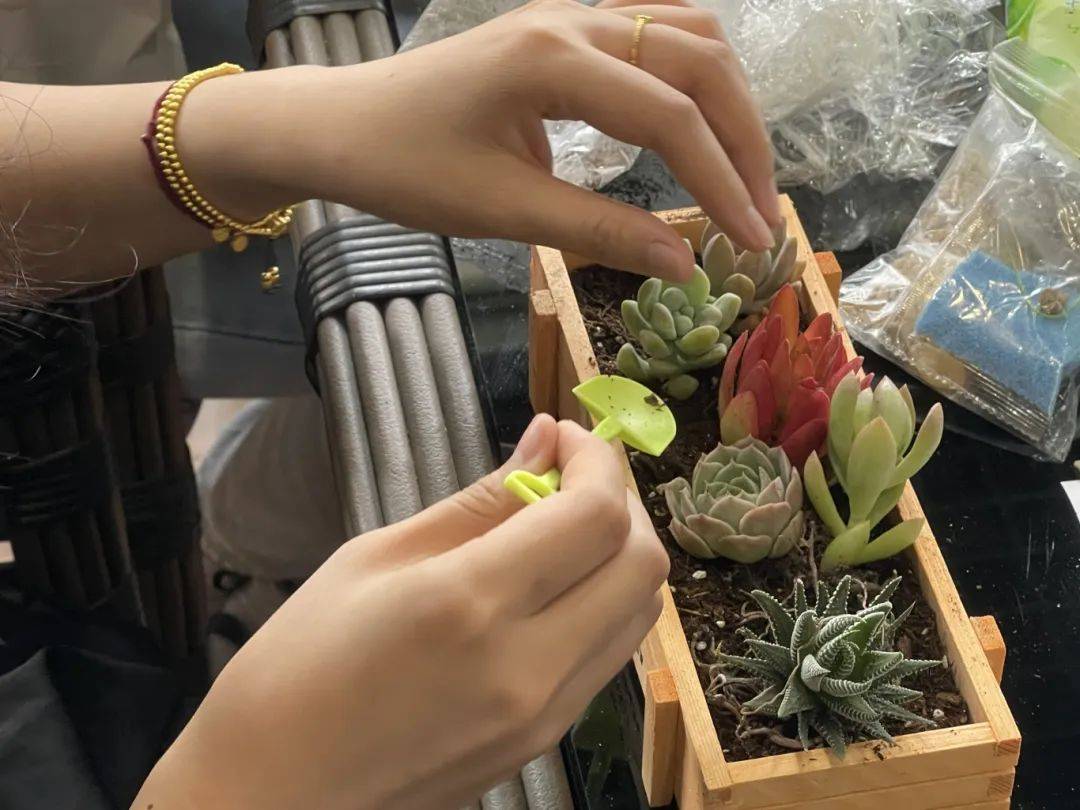 员工生日会 | 欢乐时光,多肉微景观diy添彩