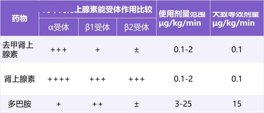 去甲肾上腺素药理作用图片