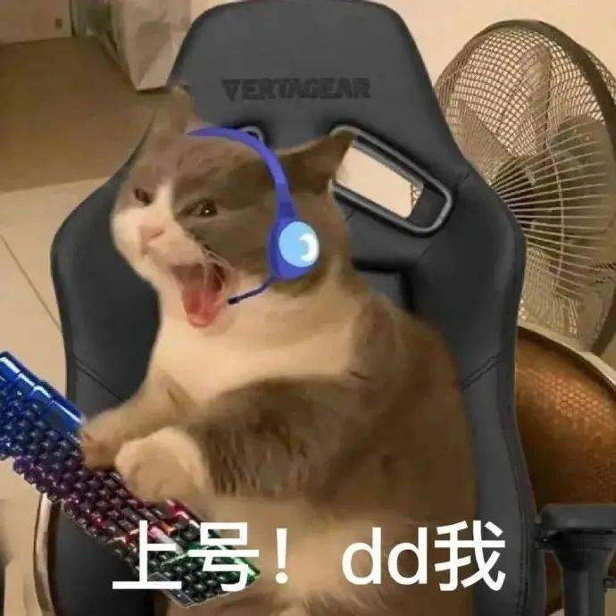 3d熊猫表情包抖音图片