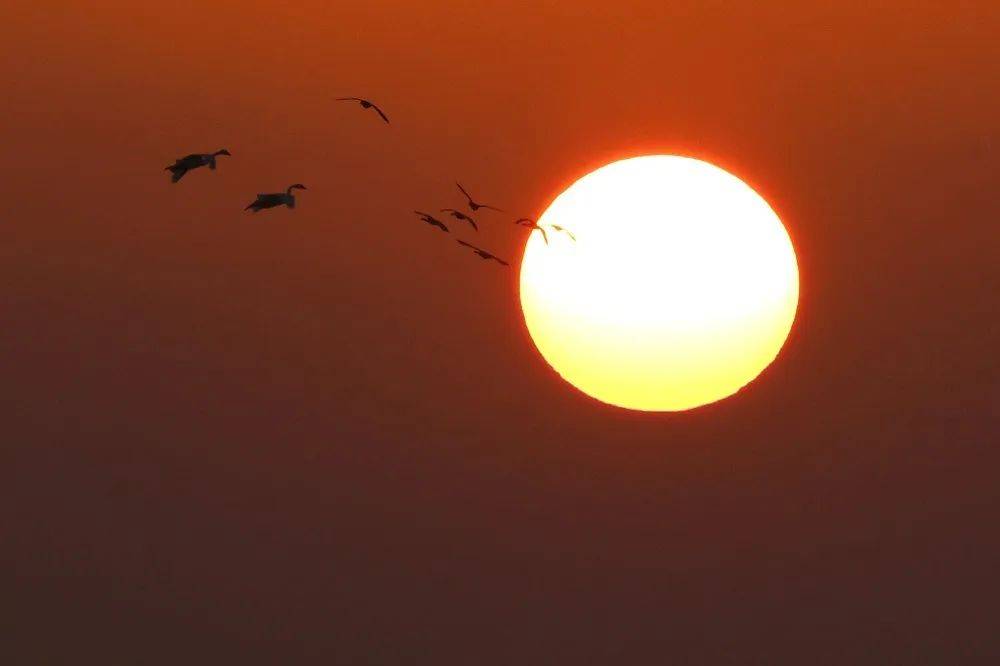 来抚州追晚霞!朋友圈素材 1