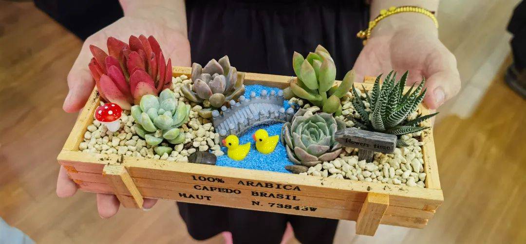 员工生日会 | 欢乐时光,多肉微景观diy添彩