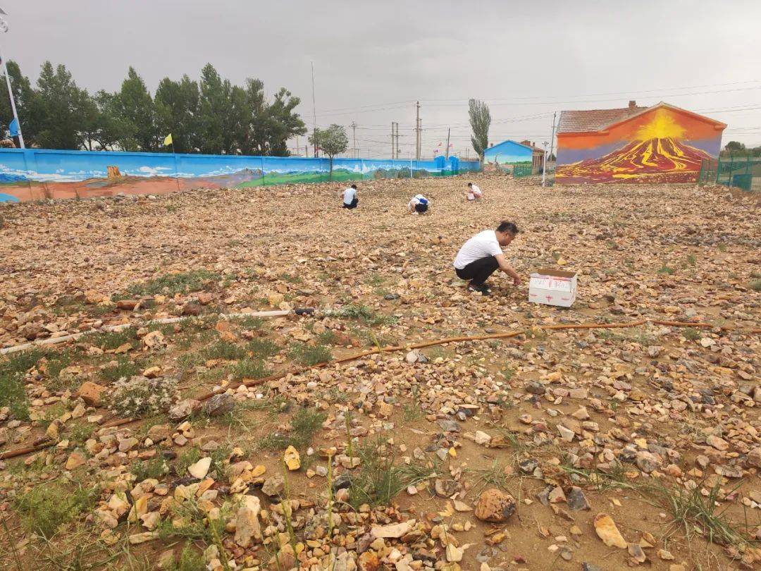 乌拉特后旗"最闪"打卡点,玩赚非遗_活动_手工艺_时间