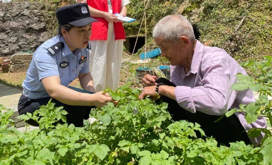 阳新县公安局禁毒大队开展"禁种铲毒"踏查和宣传活动_名人_工作_植物