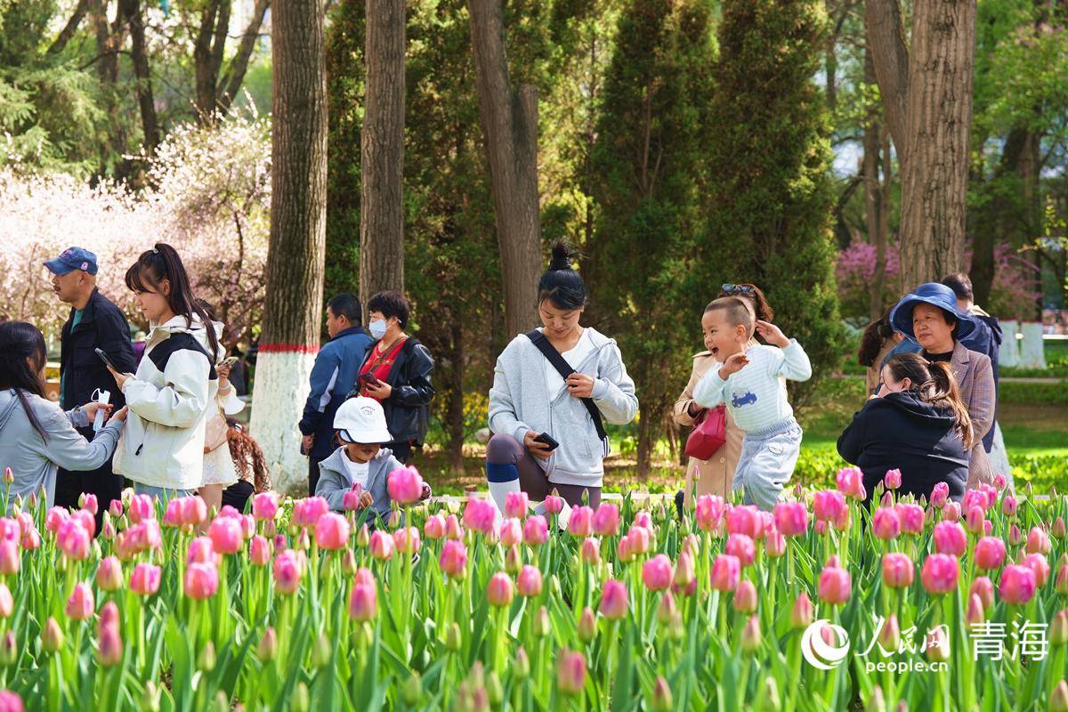 🌸【澳门六开彩天天开奖结果】🌸_市市政中心成功举办2024年城市排水防涝应急供电专项演练