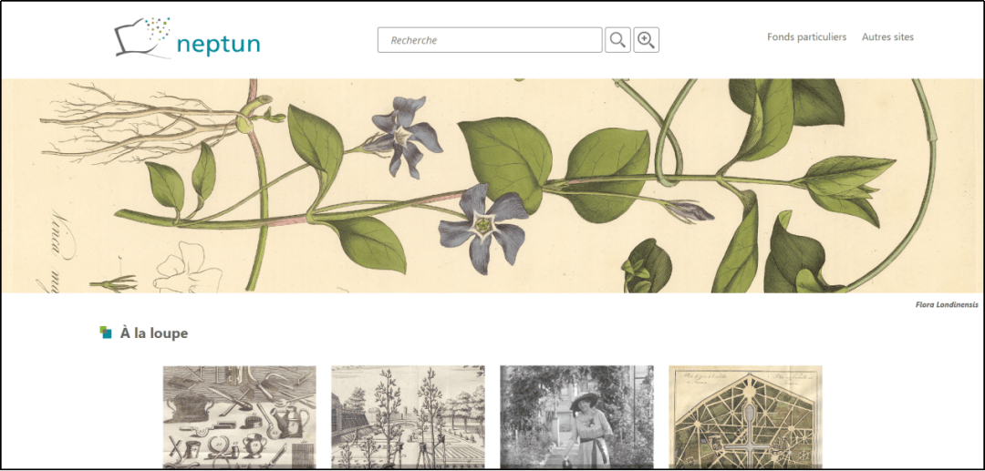 展示案例:比利时那慕尔大学遗产数字化五,logart(免费注册访问)logart