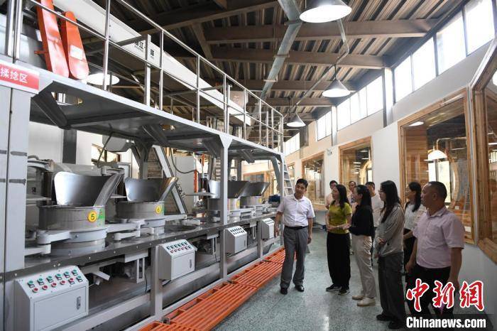 广西提升丘陵山区六堡茶生产机械化水平促产业发展