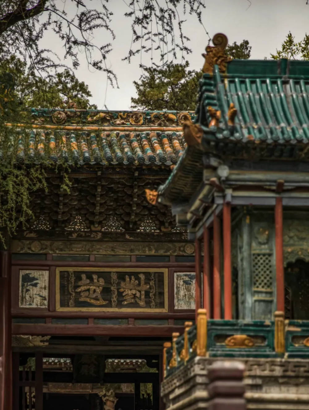 歌迷之城 太原宠你!来太原,跟着小编这样游