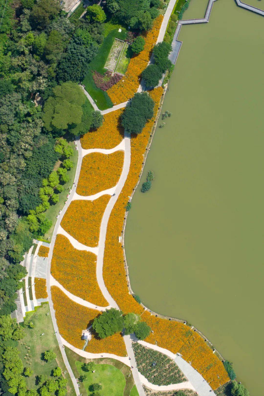 梁开中学段)(图为大良新城区)向往的"诗和远方"亦有人们心中浪漫多彩