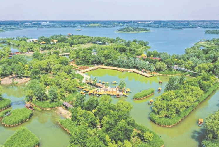 从生物多样性看淄博生态环境保护——护好一方青山绿水