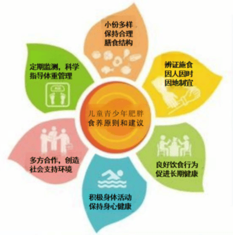 孕产妇营养咨询：科学呵护母婴健康的秘密武器