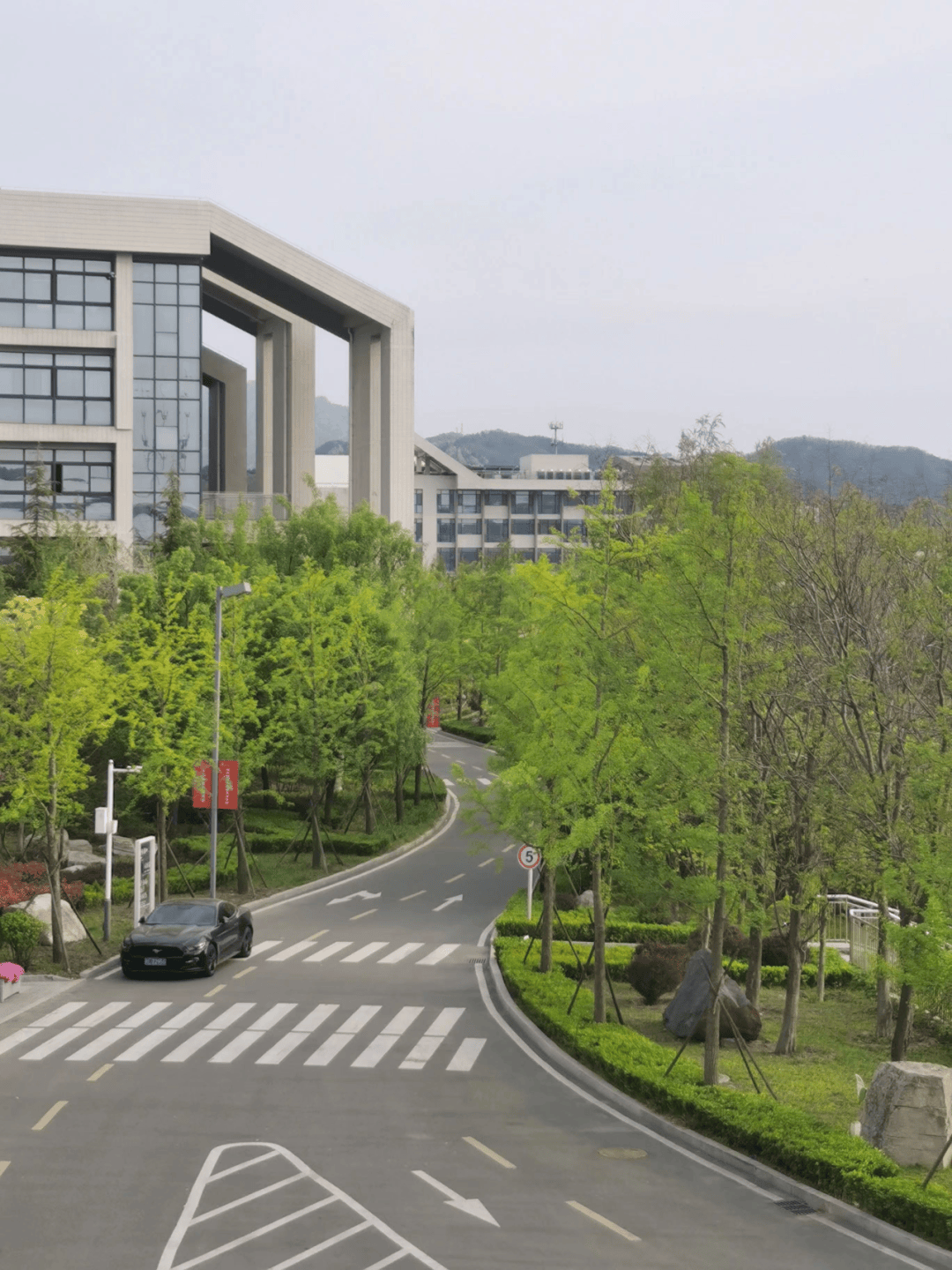 【学生眼中的青岛六中】有一阵春风吹进校园—— 在青岛六中遇见最美